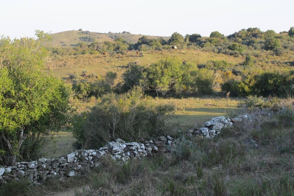 Bungalow De Campo Nabucco - Sierras, Naturaleza Y Descanso Minas Ngoại thất bức ảnh