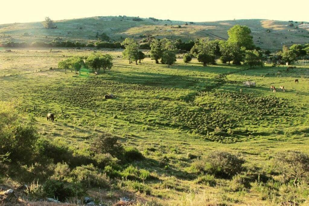 Bungalow De Campo Nabucco - Sierras, Naturaleza Y Descanso Minas Ngoại thất bức ảnh