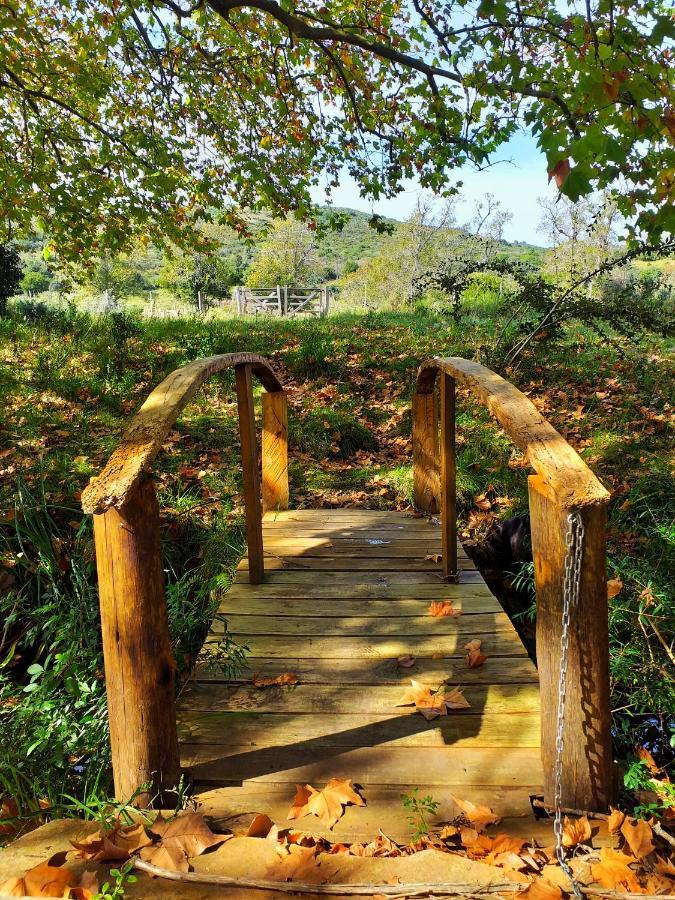 Bungalow De Campo Nabucco - Sierras, Naturaleza Y Descanso Minas Ngoại thất bức ảnh