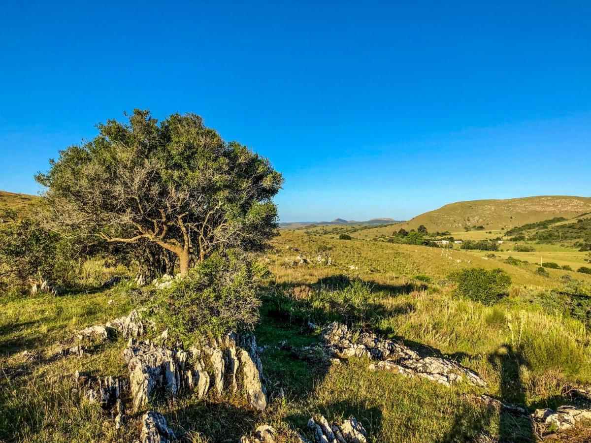 Bungalow De Campo Nabucco - Sierras, Naturaleza Y Descanso Minas Ngoại thất bức ảnh